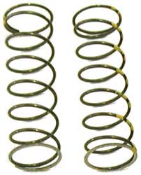 Exhaust Valve Spring